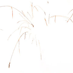 image14
