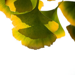 image02