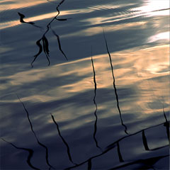 image06